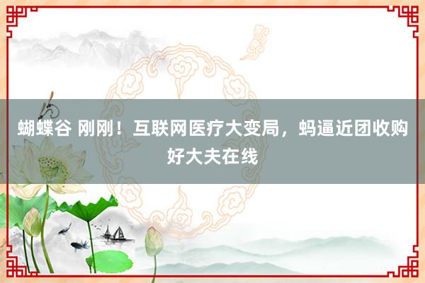 蝴蝶谷 刚刚！互联网医疗大变局，蚂逼近团收购好大夫在线