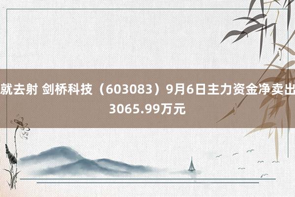 就去射 剑桥科技（603083）9月6日主力资金净卖出3065.99万元