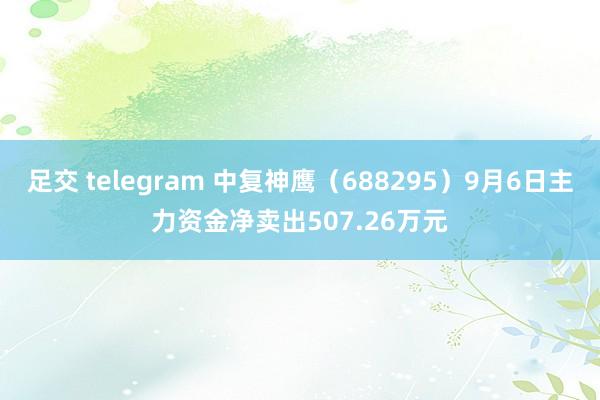 足交 telegram 中复神鹰（688295）9月6日主力资金净卖出507.26万元