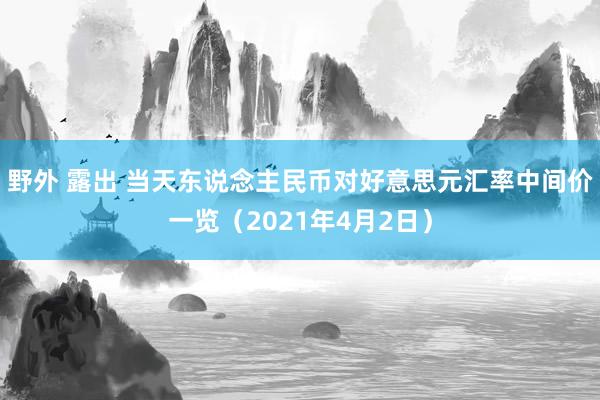 野外 露出 当天东说念主民币对好意思元汇率中间价一览（2021年4月2日）