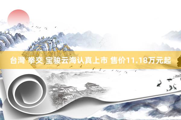 台灣 拳交 宝骏云海认真上市 售价11.18万元起