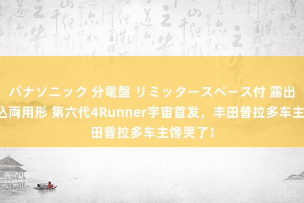 パナソニック 分電盤 リミッタースペース付 露出・半埋込両用形 第六代4Runner宇宙首发，丰田普拉多车主馋哭了！