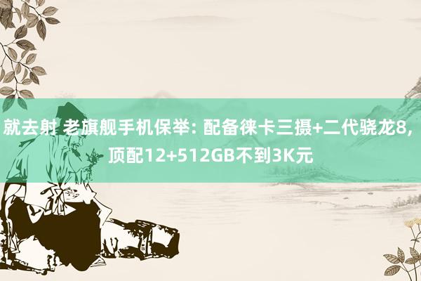 就去射 老旗舰手机保举: 配备徕卡三摄+二代骁龙8， 顶配12+512GB不到3K元