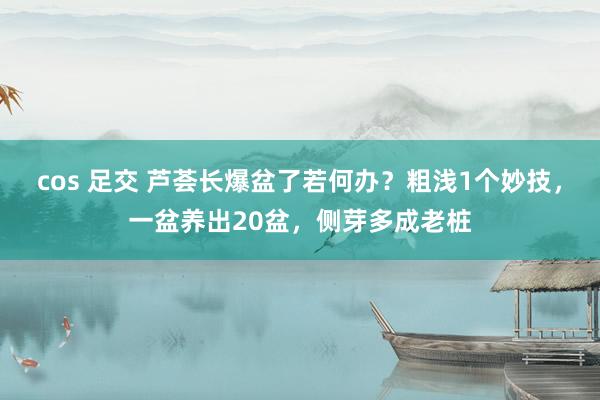 cos 足交 芦荟长爆盆了若何办？粗浅1个妙技，一盆养出20盆，侧芽多成老桩