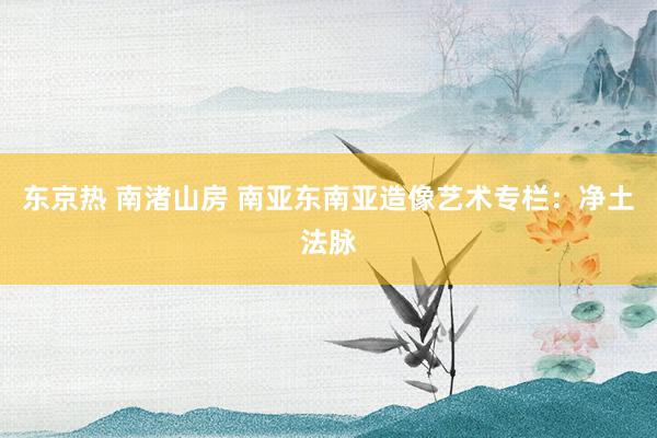 东京热 南渚山房 南亚东南亚造像艺术专栏：净土法脉