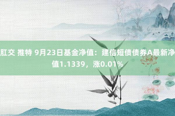 肛交 推特 9月23日基金净值：建信短债债券A最新净值1.1339，涨0.01%