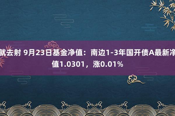 就去射 9月23日基金净值：南边1-3年国开债A最新净值1.0301，涨0.01%