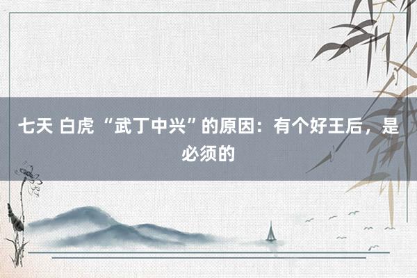 七天 白虎 “武丁中兴”的原因：有个好王后，是必须的