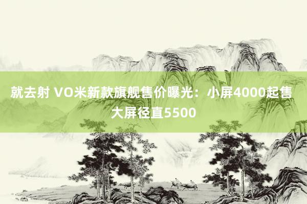 就去射 VO米新款旗舰售价曝光：小屏4000起售 大屏径直5500