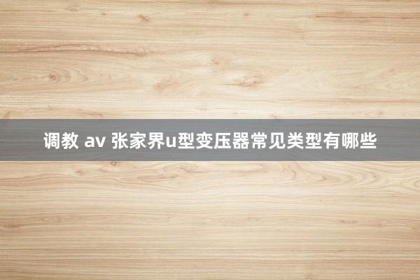 调教 av 张家界u型变压器常见类型有哪些