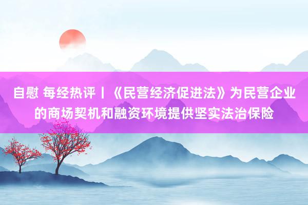 自慰 每经热评丨《民营经济促进法》为民营企业的商场契机和融资环境提供坚实法治保险