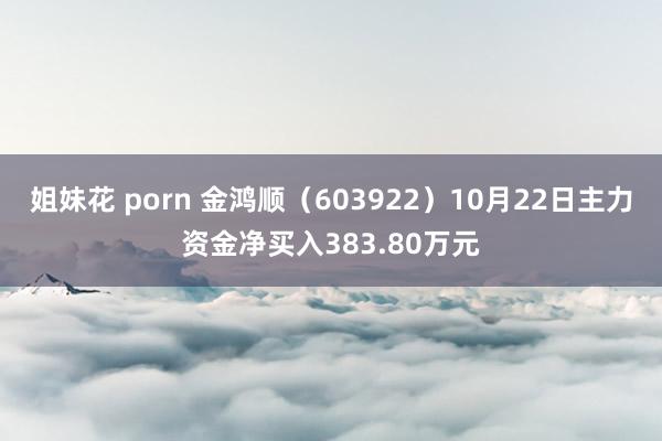 姐妹花 porn 金鸿顺（603922）10月22日主力资金净买入383.80万元