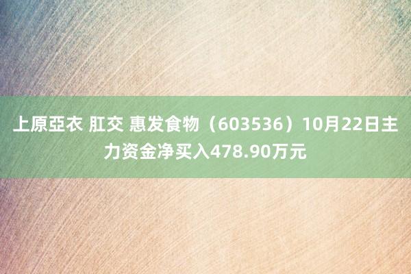 上原亞衣 肛交 惠发食物（603536）10月22日主力资金净买入478.90万元