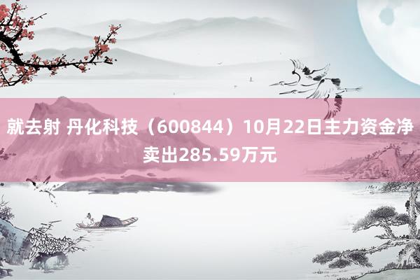 就去射 丹化科技（600844）10月22日主力资金净卖出285.59万元