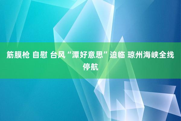 筋膜枪 自慰 台风“潭好意思”迫临 琼州海峡全线停航