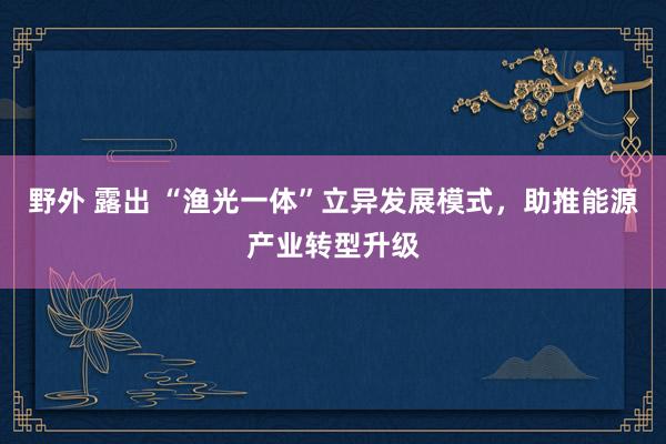 野外 露出 “渔光一体”立异发展模式，助推能源产业转型升级