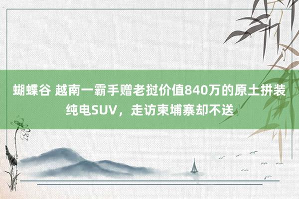 蝴蝶谷 越南一霸手赠老挝价值840万的原土拼装纯电SUV，走访柬埔寨却不送