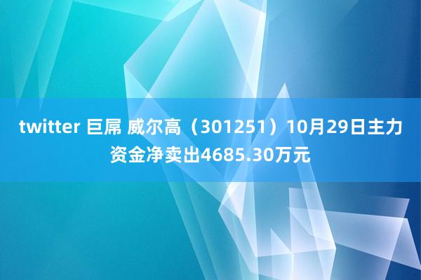 twitter 巨屌 威尔高（301251）10月29日主力资金净卖出4685.30万元