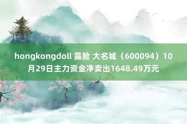 hongkongdoll 露脸 大名城（600094）10月29日主力资金净卖出1648.49万元