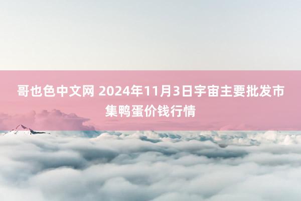 哥也色中文网 2024年11月3日宇宙主要批发市集鸭蛋价钱行情