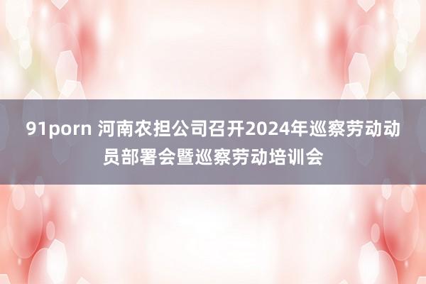 91porn 河南农担公司召开2024年巡察劳动动员部署会暨巡察劳动培训会