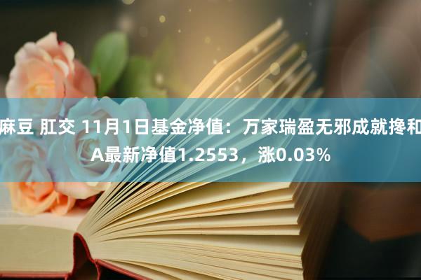 麻豆 肛交 11月1日基金净值：万家瑞盈无邪成就搀和A最新净值1.2553，涨0.03%