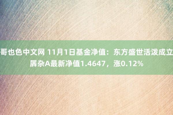 哥也色中文网 11月1日基金净值：东方盛世活泼成立羼杂A最新净值1.4647，涨0.12%