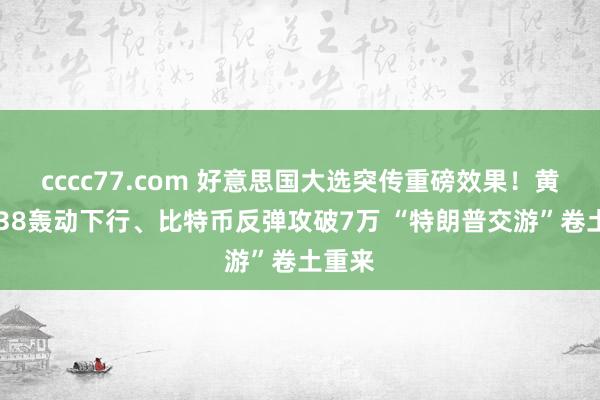 cccc77.com 好意思国大选突传重磅效果！黄金2738轰动下行、比特币反弹攻破7万 “特朗普交游”卷土重来