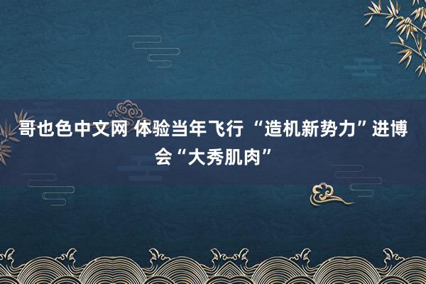 哥也色中文网 体验当年飞行 “造机新势力”进博会“大秀肌肉”