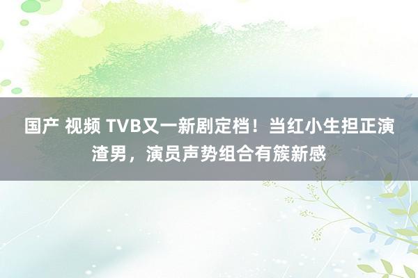 国产 视频 TVB又一新剧定档！当红小生担正演渣男，演员声势组合有簇新感