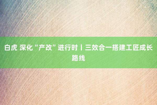 白虎 深化“产改”进行时丨三效合一搭建工匠成长路线