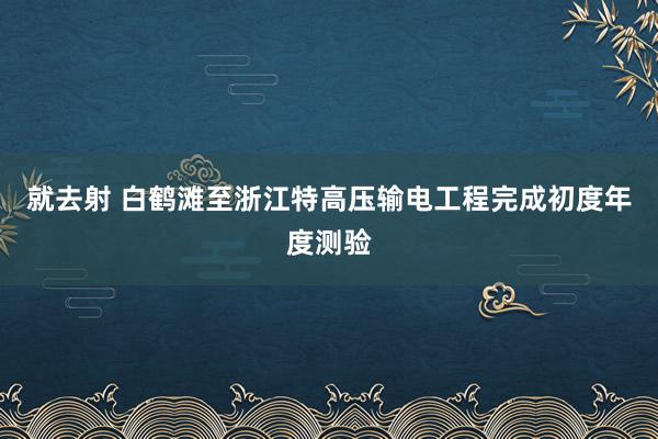 就去射 白鹤滩至浙江特高压输电工程完成初度年度测验