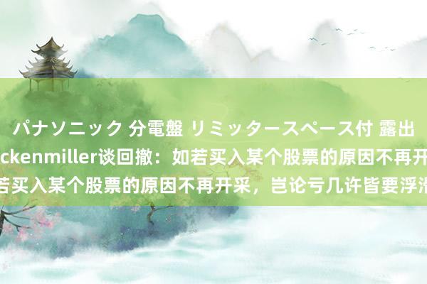 パナソニック 分電盤 リミッタースペース付 露出・半埋込両用形 Druckenmiller谈回撤：如若买入某个股票的原因不再开采，岂论亏几许皆要浮滑卖出