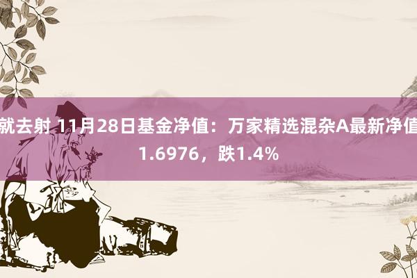 就去射 11月28日基金净值：万家精选混杂A最新净值1.6976，跌1.4%