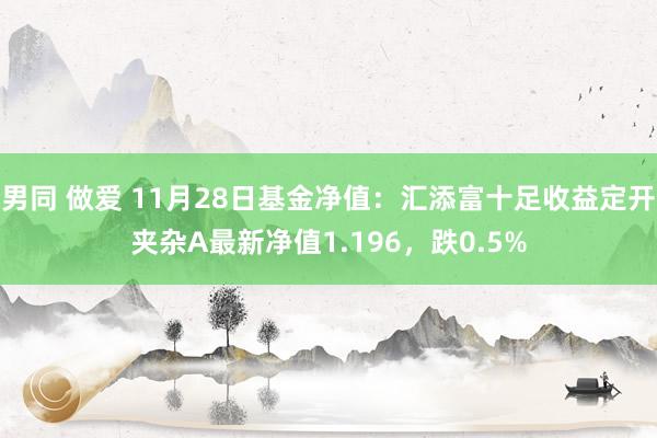 男同 做爱 11月28日基金净值：汇添富十足收益定开夹杂A最新净值1.196，跌0.5%