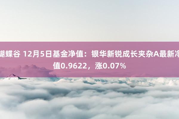 蝴蝶谷 12月5日基金净值：银华新锐成长夹杂A最新净值0.9622，涨0.07%