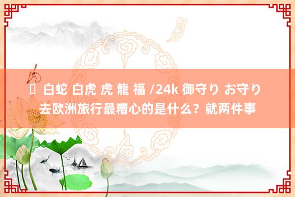 ✨白蛇 白虎 虎 龍 福 /24k 御守り お守り 去欧洲旅行最糟心的是什么？就两件事