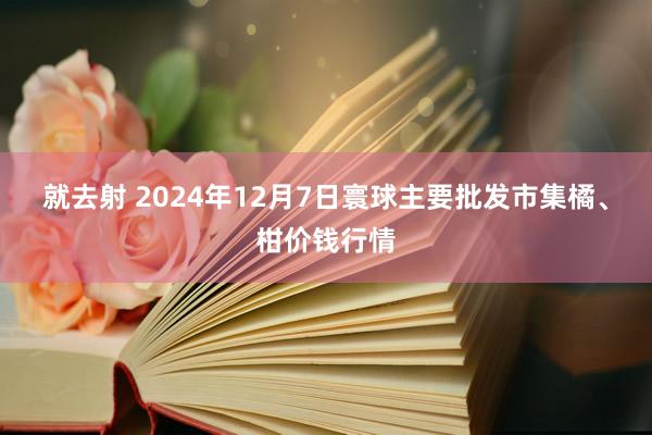 就去射 2024年12月7日寰球主要批发市集橘、柑价钱行情