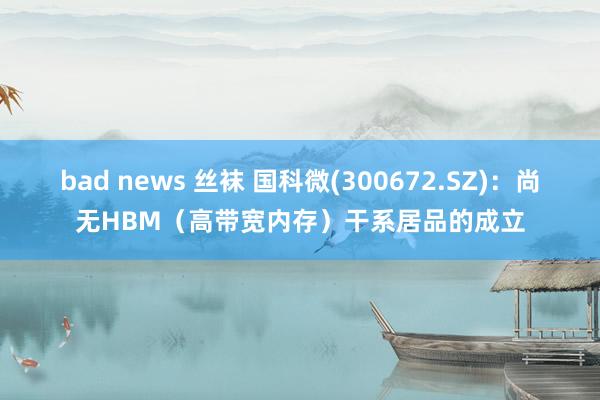 bad news 丝袜 国科微(300672.SZ)：尚无HBM（高带宽内存）干系居品的成立