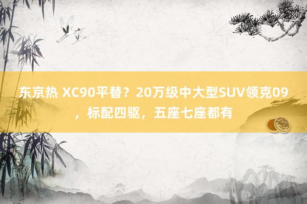 东京热 XC90平替？20万级中大型SUV领克09，标配四驱，五座七座都有