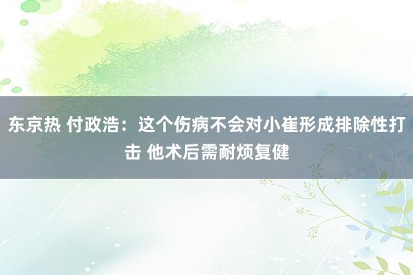 东京热 付政浩：这个伤病不会对小崔形成排除性打击 他术后需耐烦复健