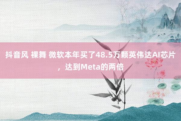 抖音风 裸舞 微软本年买了48.5万颗英伟达AI芯片，达到Meta的两倍