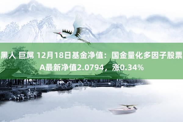 黑人 巨屌 12月18日基金净值：国金量化多因子股票A最新净值2.0794，涨0.34%