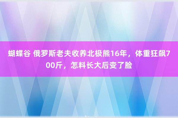 蝴蝶谷 俄罗斯老夫收养北极熊16年，体重狂飙700斤，怎料长大后变了脸