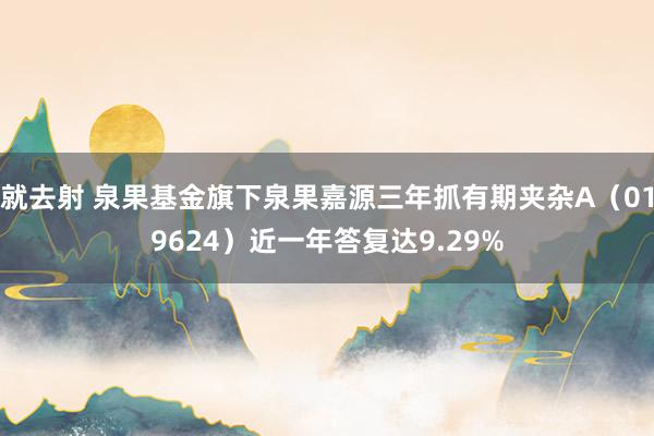 就去射 泉果基金旗下泉果嘉源三年抓有期夹杂A（019624）近一年答复达9.29%