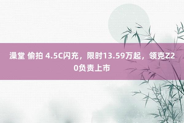 澡堂 偷拍 4.5C闪充，限时13.59万起，领克Z20负责上市