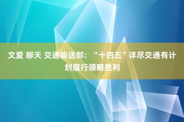 文爱 聊天 交通输送部：“十四五”详尽交通有计划履行领略胜利