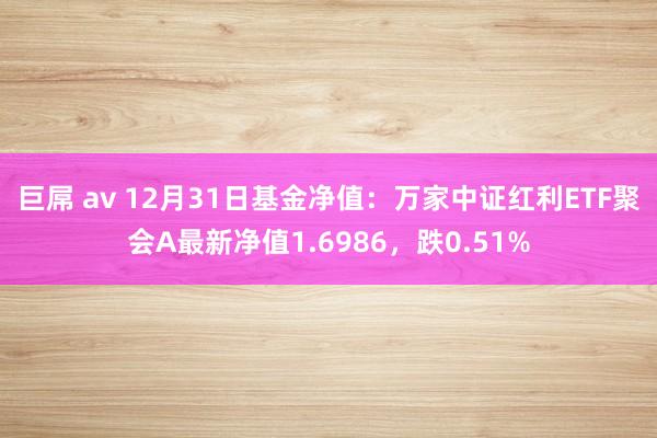 巨屌 av 12月31日基金净值：万家中证红利ETF聚会A最新净值1.6986，跌0.51%