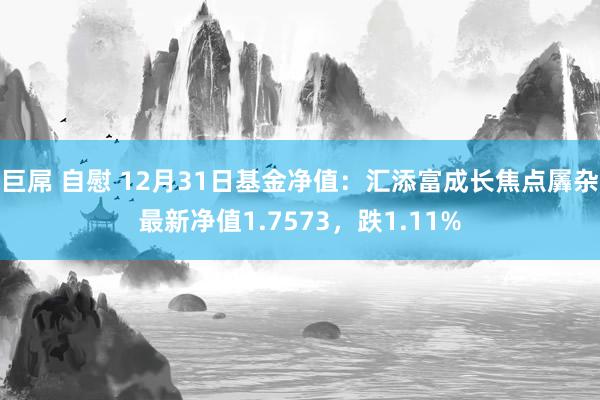 巨屌 自慰 12月31日基金净值：汇添富成长焦点羼杂最新净值1.7573，跌1.11%