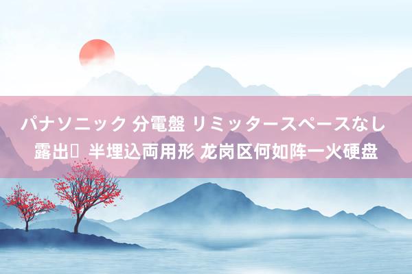 パナソニック 分電盤 リミッタースペースなし 露出・半埋込両用形 龙岗区何如阵一火硬盘